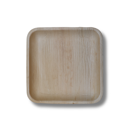 10" Square Shallow Plates