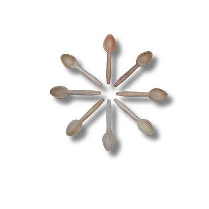 Areca Spoon